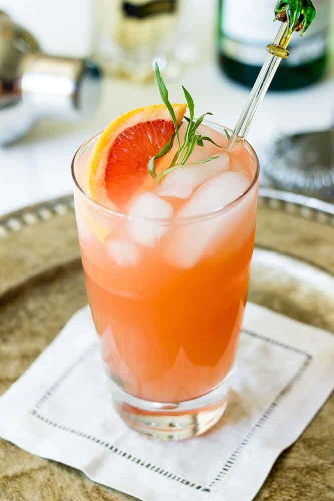 Charleston Fizz with stirrer and orange slice