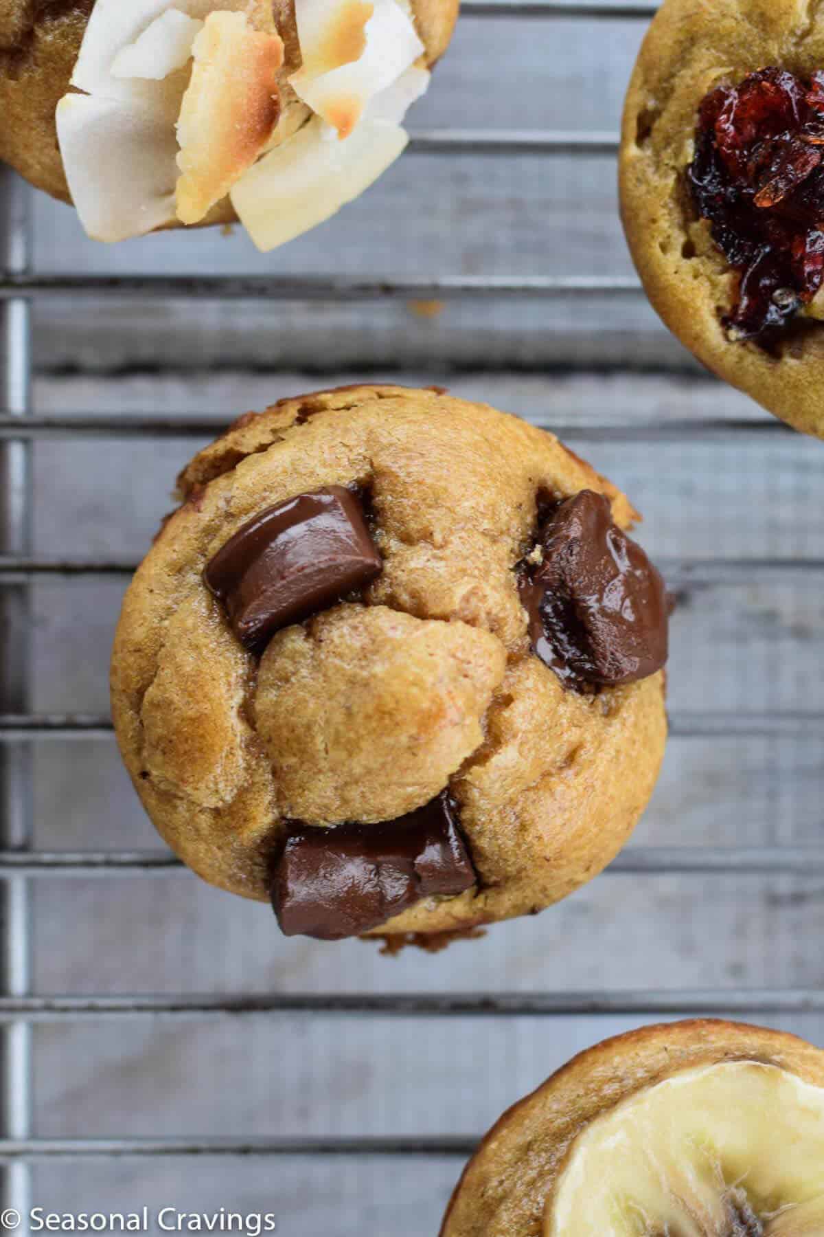  Five Ingredient Blender Muffins are a quick, healthy and gluten-free treat your family can grab and take on the run.  