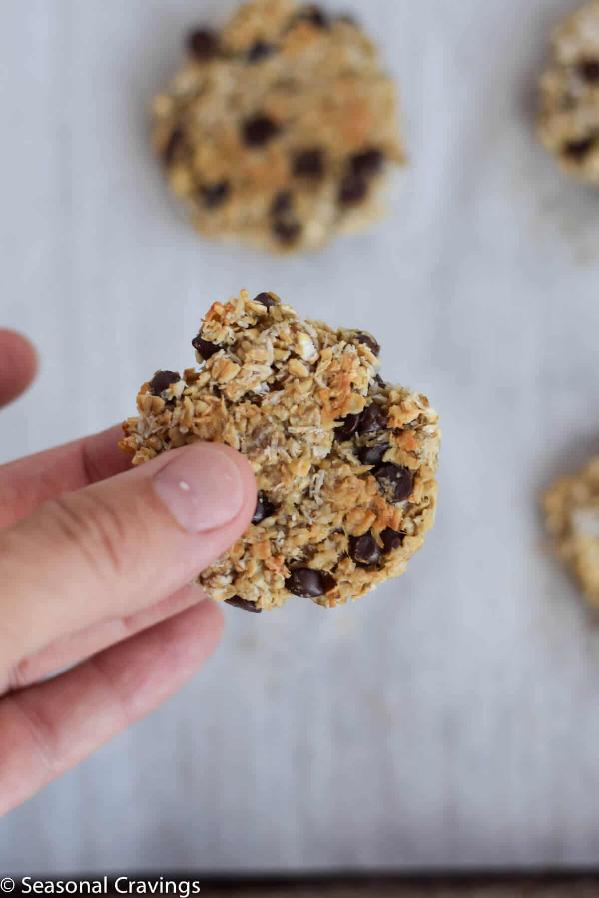 close up of Gluten Free Breakfast Cookies