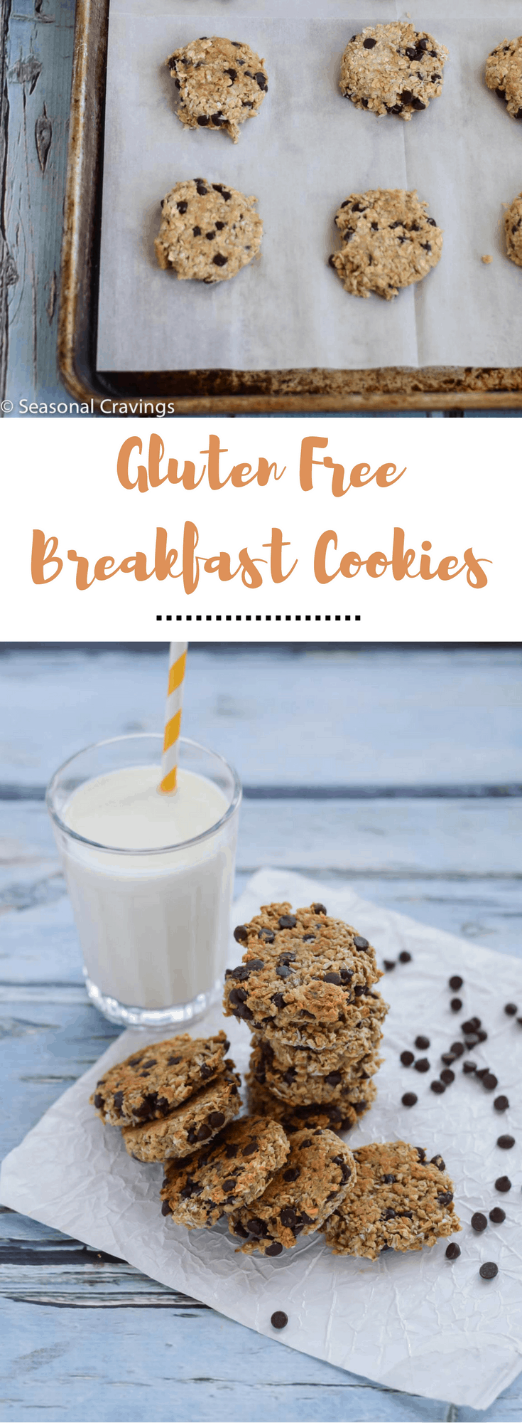 Gluten Free Breakfast Cookies