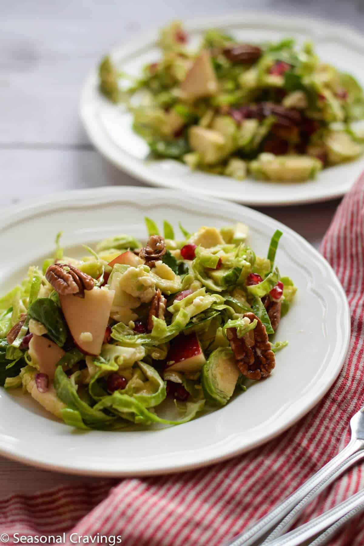 Brussel Sprout Salad with Pear and Pomegranate - delicious fall salad with brussel sprouts, pears, pecans, blue cheese and pomegranate arils {gluten free}