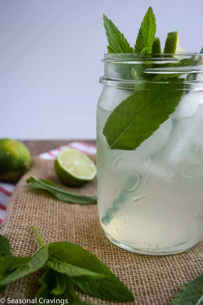 Mint Limeade Mojito in a glass with fresh mint