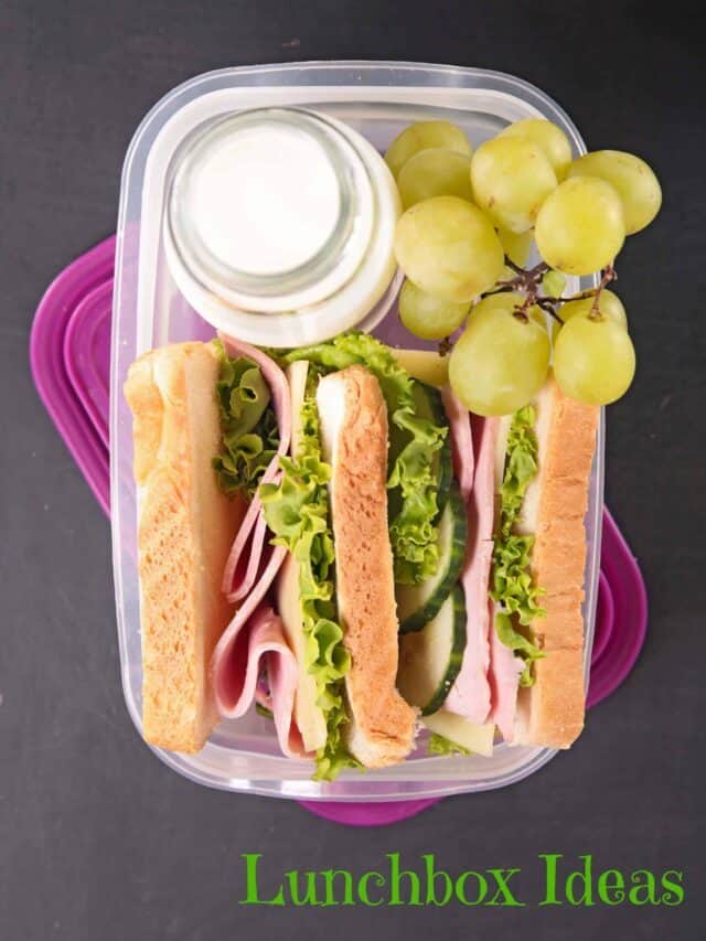 100 Gluten Free Lunch Ideas for Kids