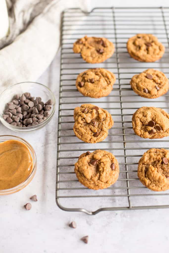  five ingredient peanut butter chocolate chip cookies on a cooling rack