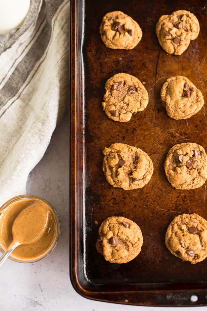 five ingredient peanut butter chocolate chip cookies on a cookie sheet