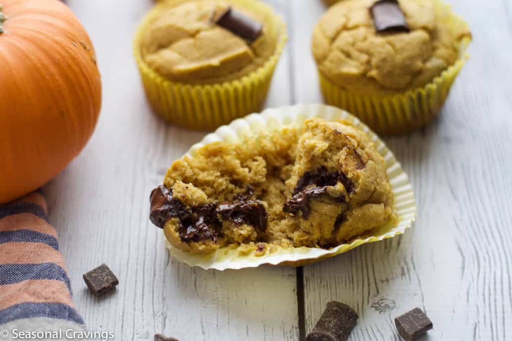 Chocolate Chip Almond Flour Pumpkin Muffins opened up with melted chocolate chips