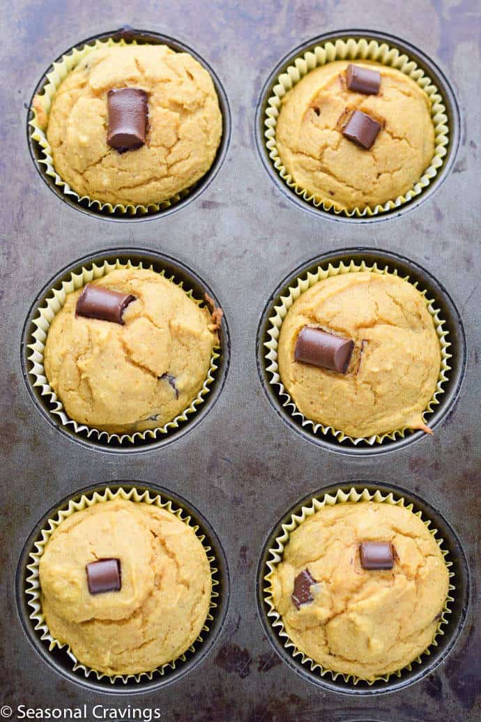 Chocolate Chip Almond Flour Pumpkin Muffins in a muffin pan