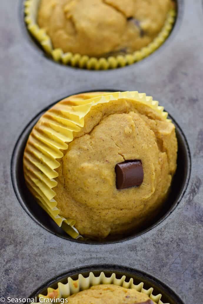 Close up of Chocolate Chip Almond Flour Pumpkin Muffins in a muffin pan