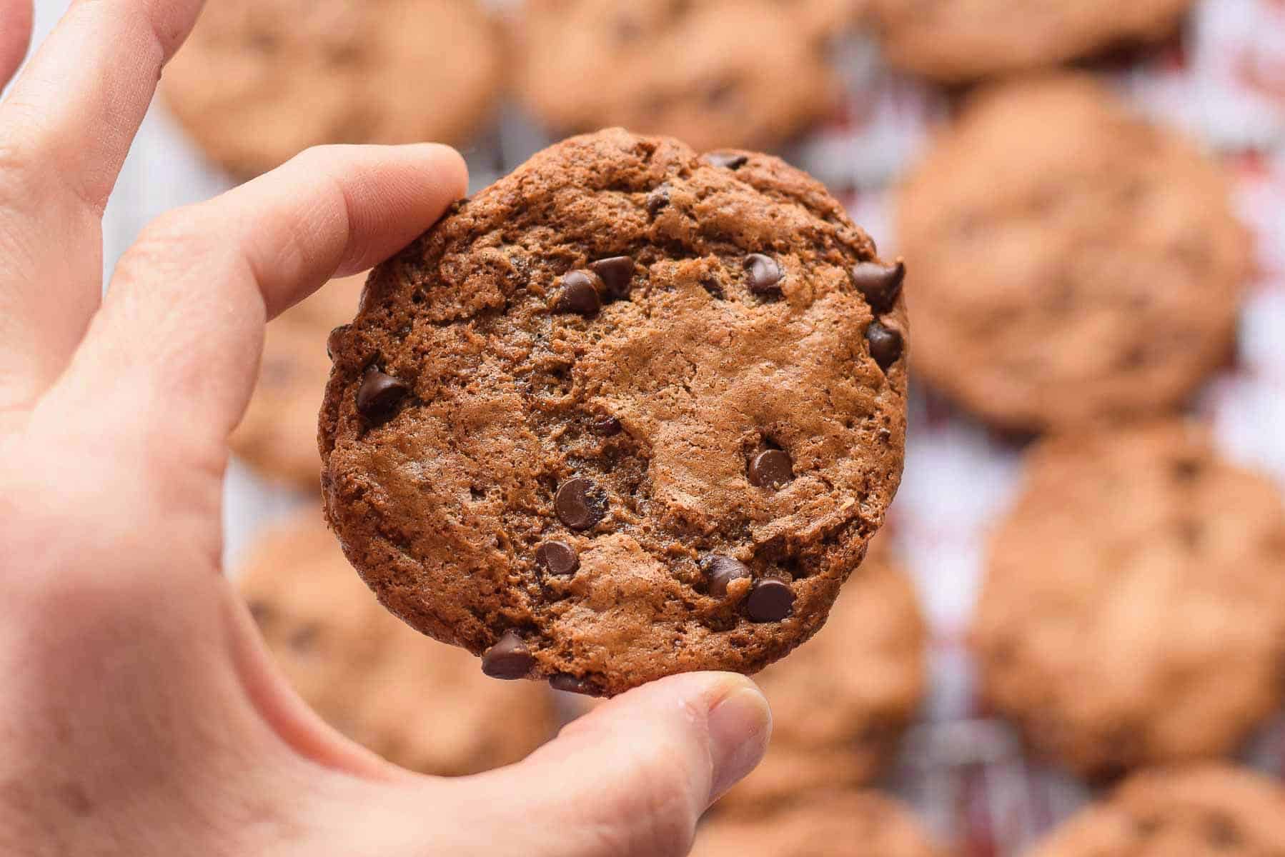 Paleo Almond Chocolate Chip Cookies