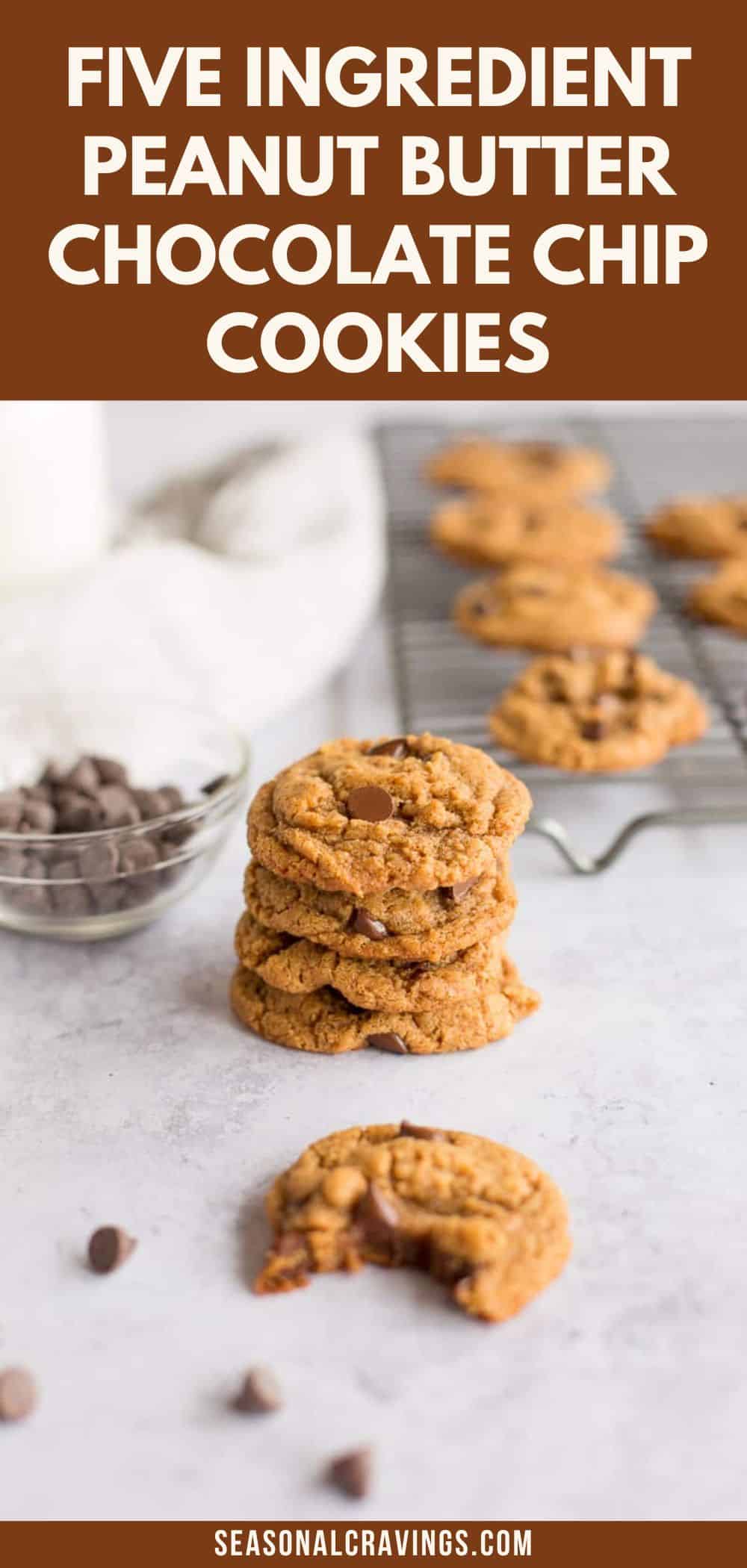 5 Ingredient Peanut Butter Chocolate Chip Cookies - Seasonal Cravings