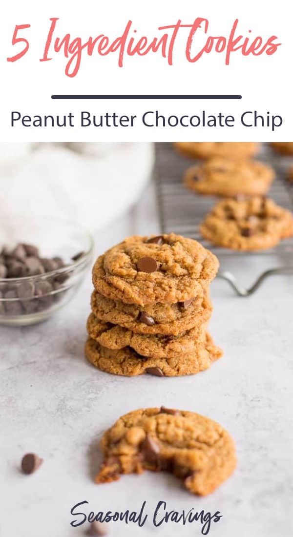 5 Ingredient Peanut Butter Chocolate Chip Cookies - Seasonal Cravings