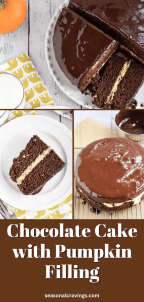 chocolate cake with pumpkin filling