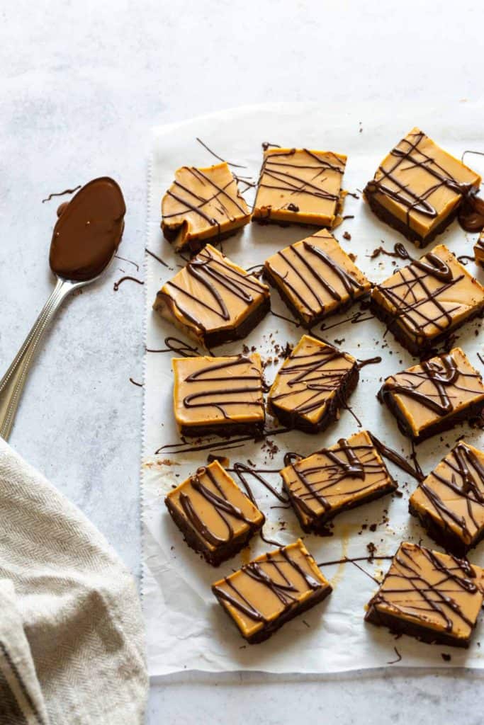 chocolate peanut butter fudge with chocolate drizzled all over
