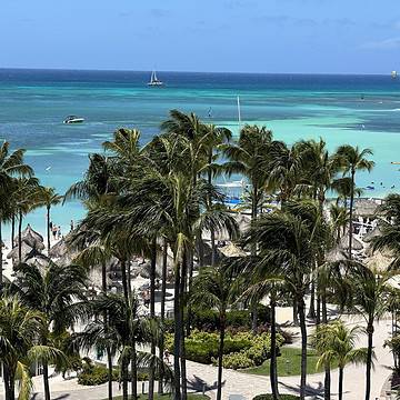 aruba view with palm trees