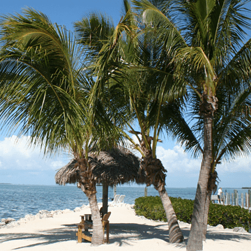 beach in Florida