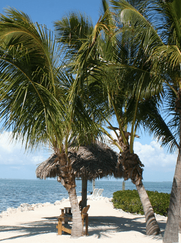beach in Florida