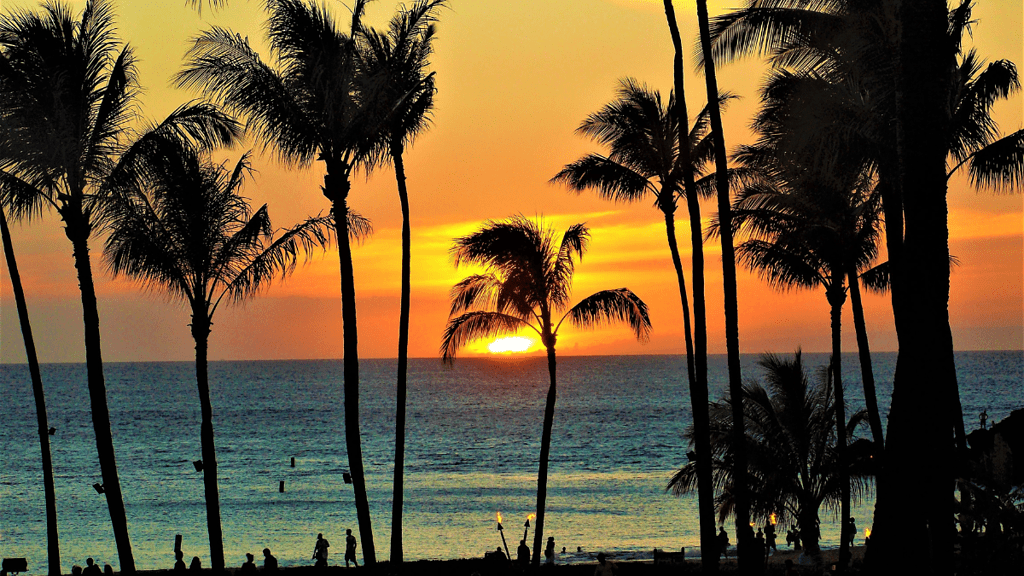 hawaii sunset through the trees