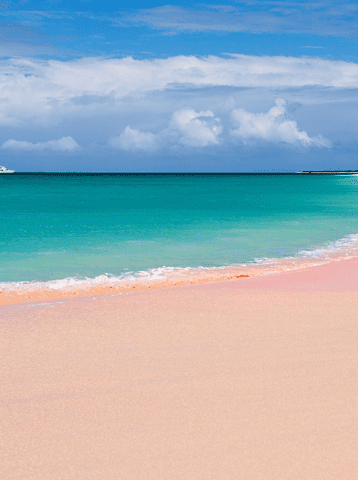 pink sand beach
