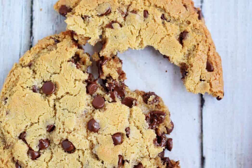 Close-up of Chocolate Chip Cookie