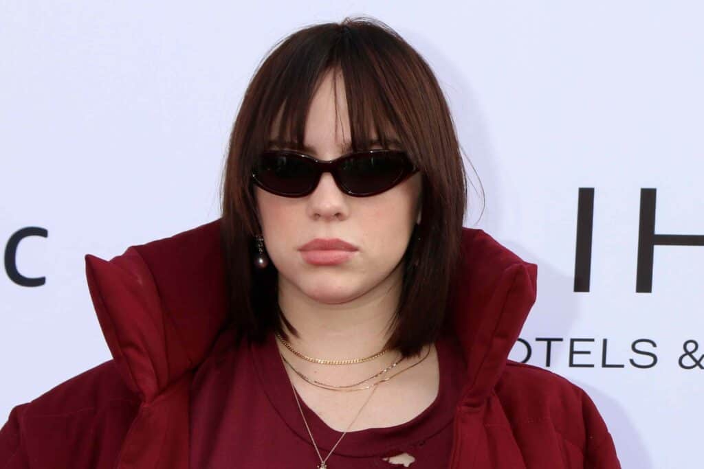 LOS ANGELES - DEC 4:  Billie Eilish at the Variety 2021 Music Hitmakers Brunch at the  City Market Social House on December 4, 2021 in Los Angeles, CA