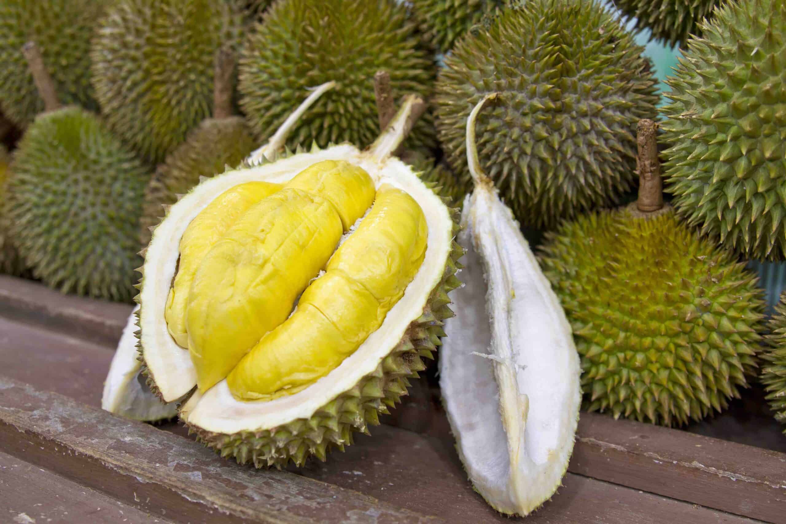 Durian open in display with yellow flesh on fruit stand in tropical country 2