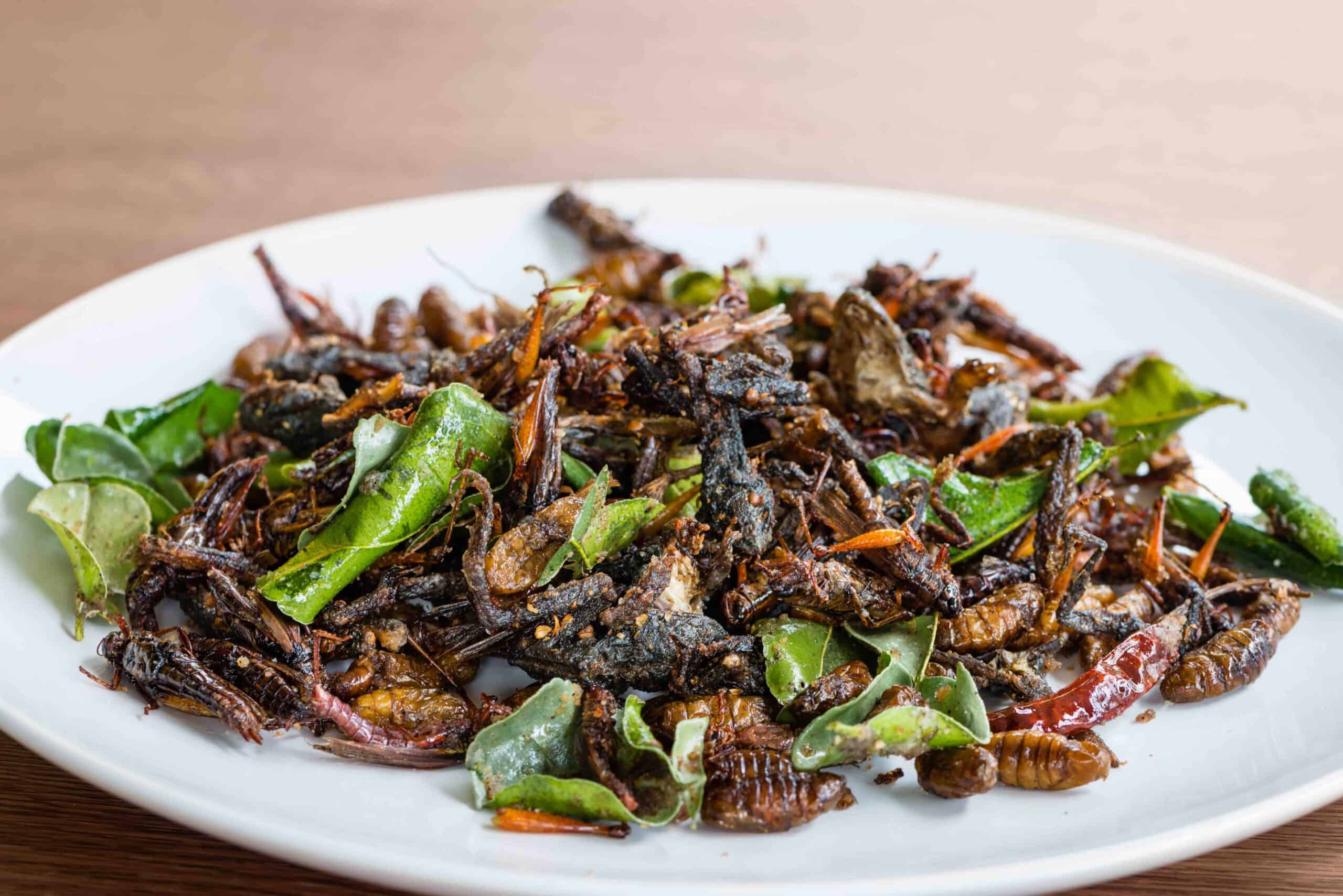 Fried edible insects mix on white plate with green lime leaves on wooden table.  Fried insects are regional delicacies food in Thailand