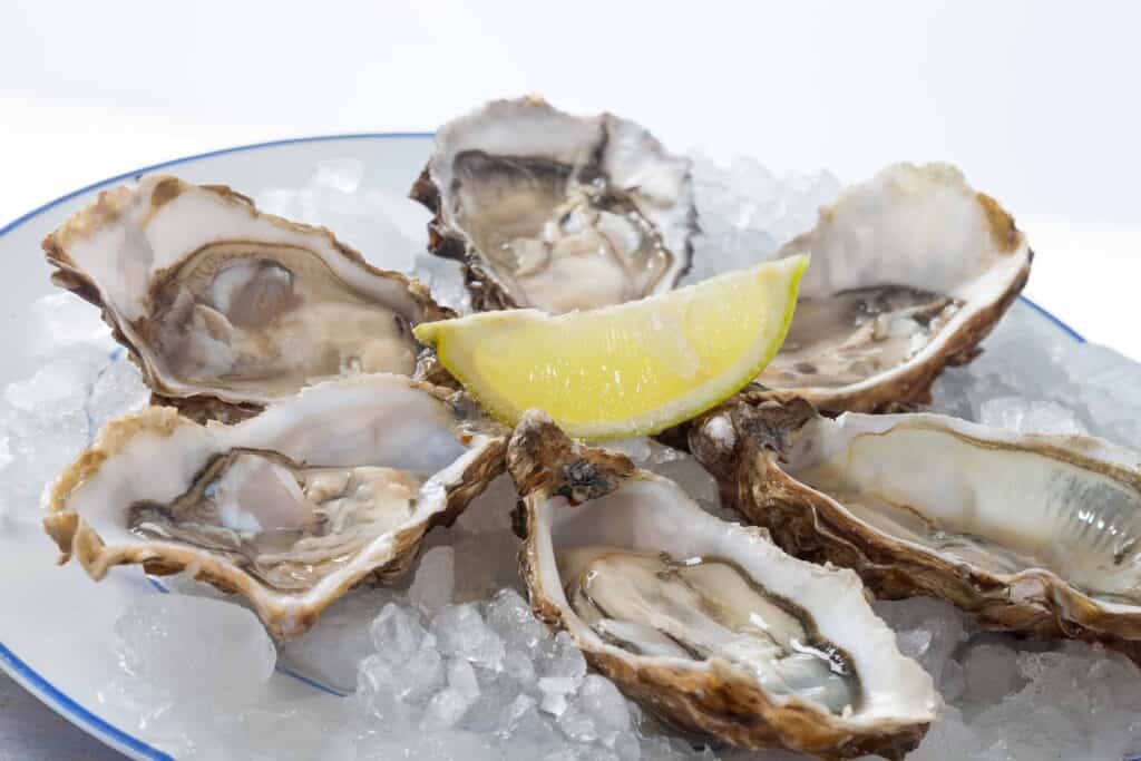 fresh French appetizer oysters on ice with lemon, for gourmets