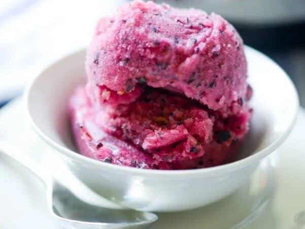 blueberry lemon sorbet recipe