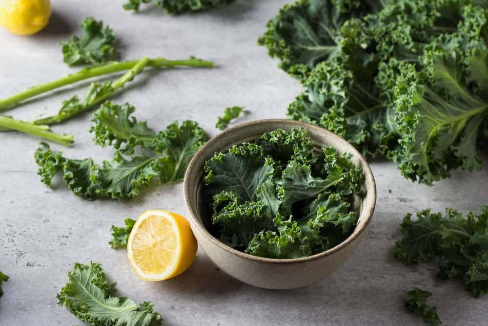 Fresh,Torned,Kale,Leaves,In,A,Bowl,With,Lemon,And