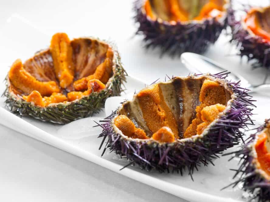 Sea,Urchin,With,Caviar,Close-up,,On,White,Background.,Fresh,Open