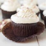 Gluten free chocolate cupcakes with dairy free white icing on a plate.