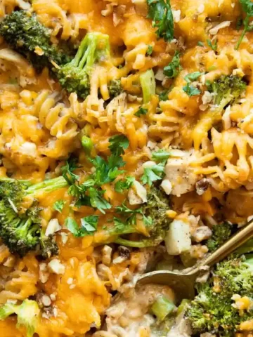 Healthy Chicken Broccoli Pasta Casserole