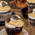 Gluten-Free and Dairy-Free S'mores cupcakes with chocolate icing and marshmallows.