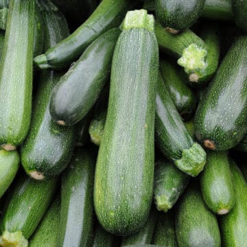Stall of zucchini on the market