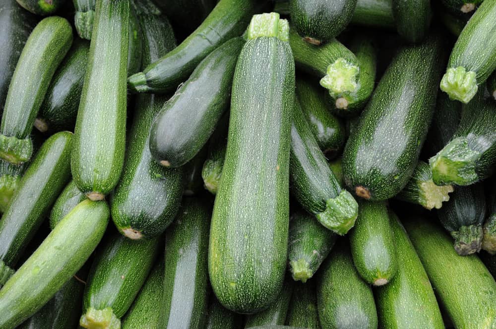 Stall of  zucchini on the market