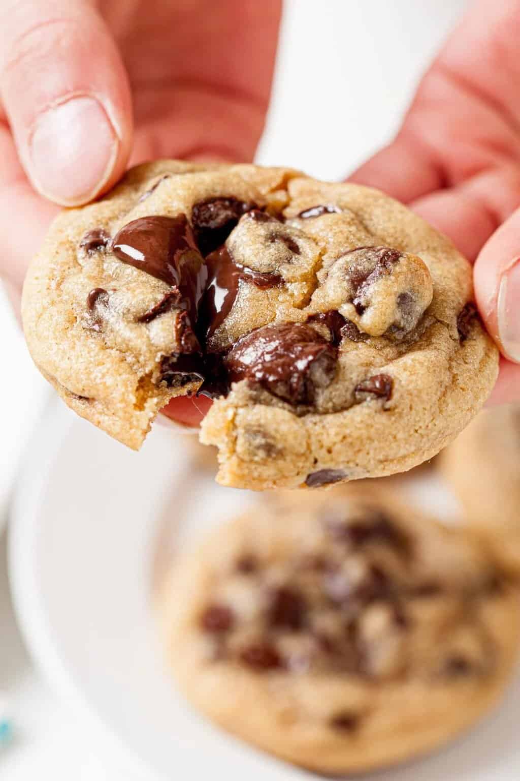 Chewy Chocolate Chip Cookies 