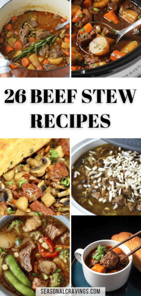 26 beef stew recipes