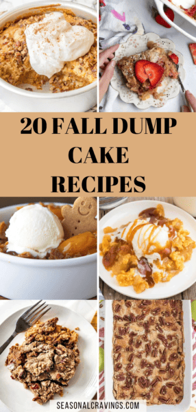 Discover 20 mouthwatering dump cake recipes perfect for fall.