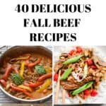 beef recipes