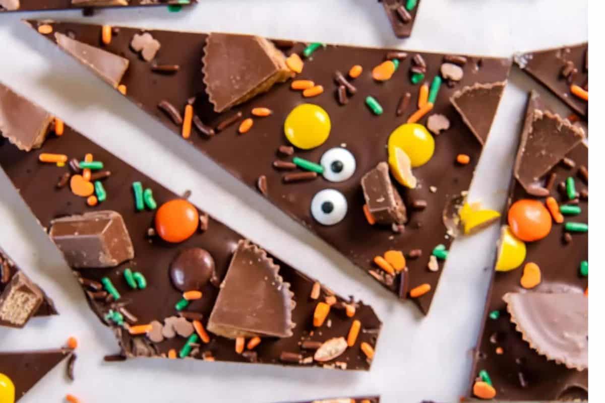 halloween candy mixed into chocolate to make bark.