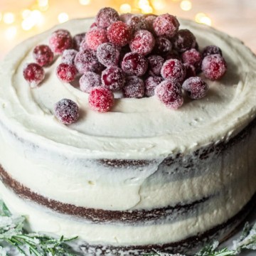 A Christmas themed chocolate cake with cranberries and sprigs of spruce, perfect for festive desserts.