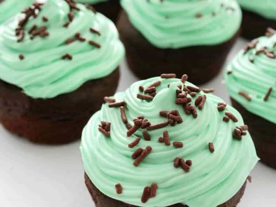 Gluten free chocolate cupcakes with  mint frosting and chocolate sprinkles. 