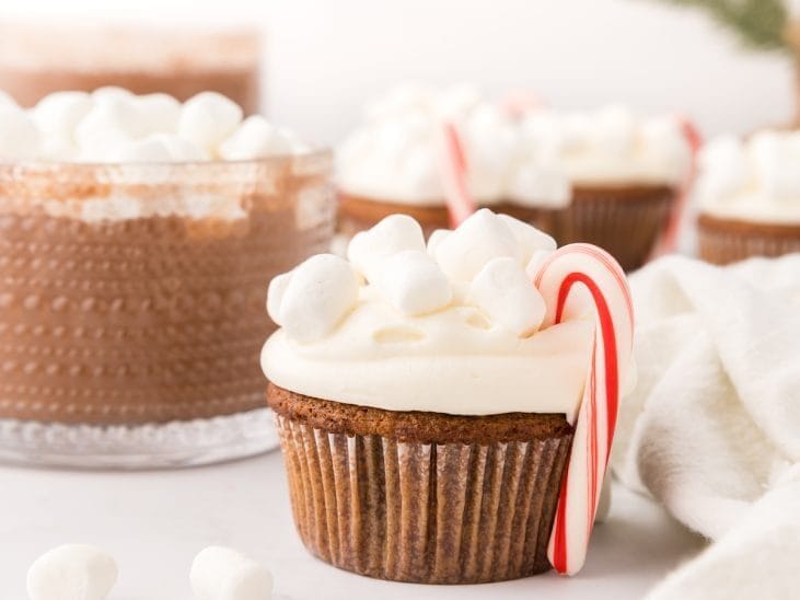 Hot chocolate cupcakes with marshmallows and candy canes.