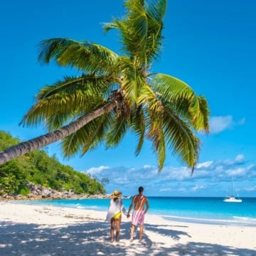 Two people enjoying one of the many things to do in Honolulu, walking on a beach under a palm tree.