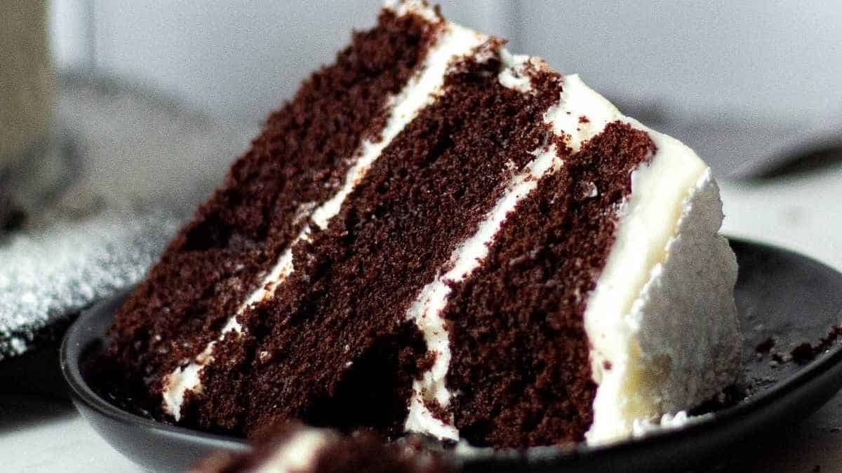 A slice of chocolate cake on a plate.