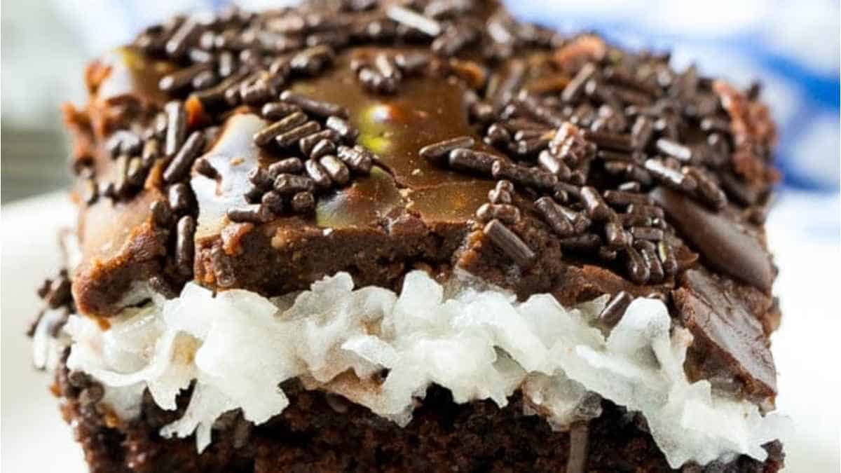 A close up of a piece of chocolate cake with coconut on top.