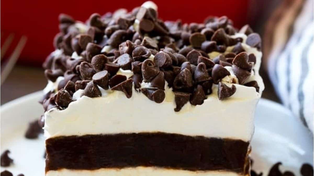 A slice of chocolate chip ice cream cake on a plate.