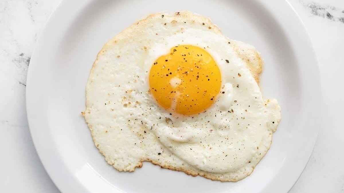 A fried egg on a white plate.