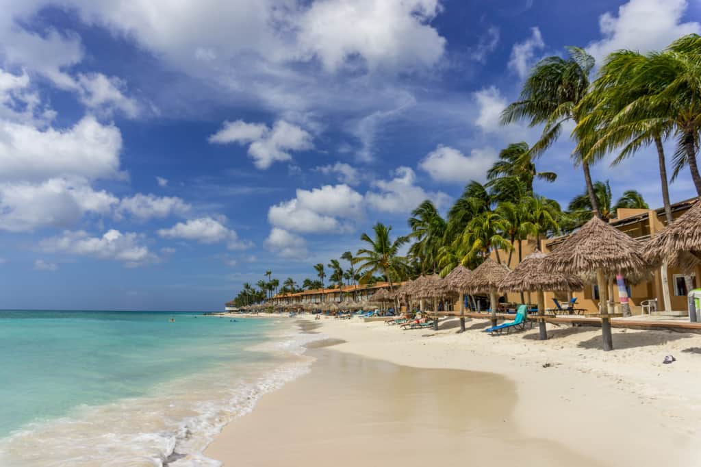 A beach with palm trees and thatched huts.