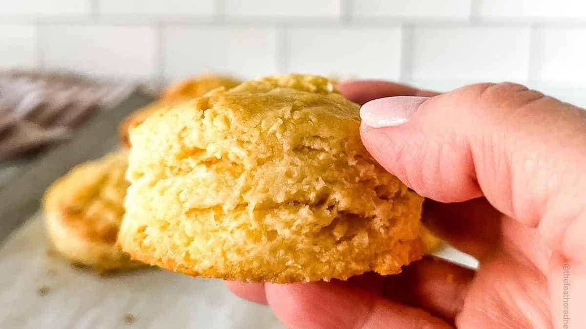 Perfect Bisquick Buttermilk Biscuits. 